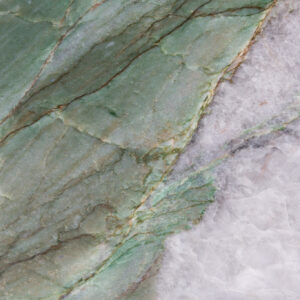 Patagonia Green Extra (220815)