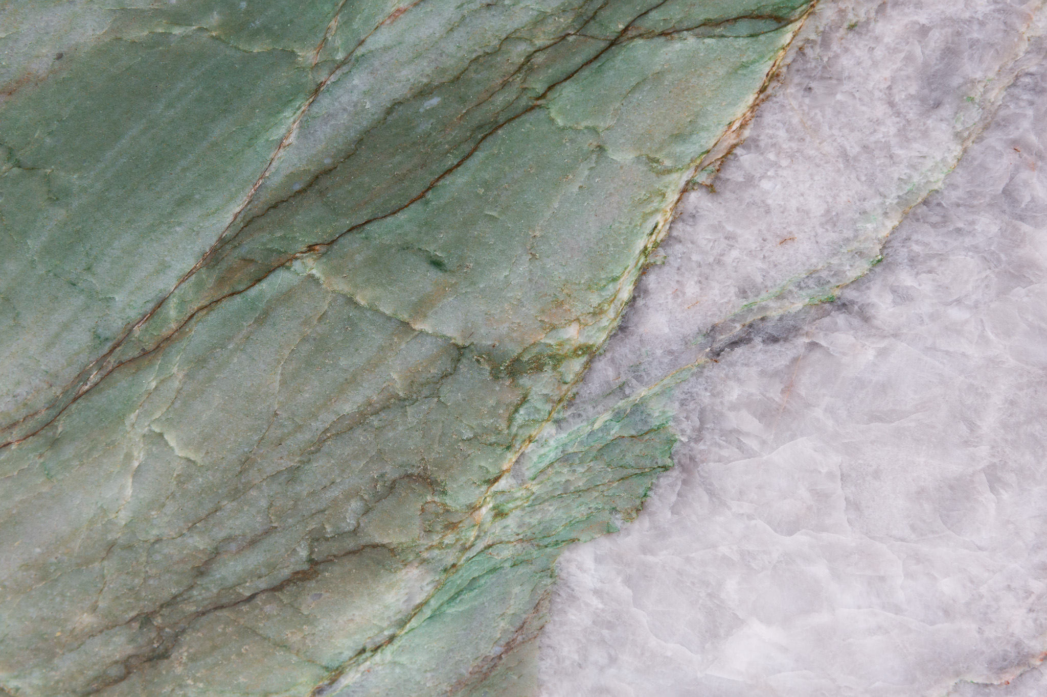 Patagonia Green Extra (220815)