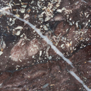 Four Season (TER251119)