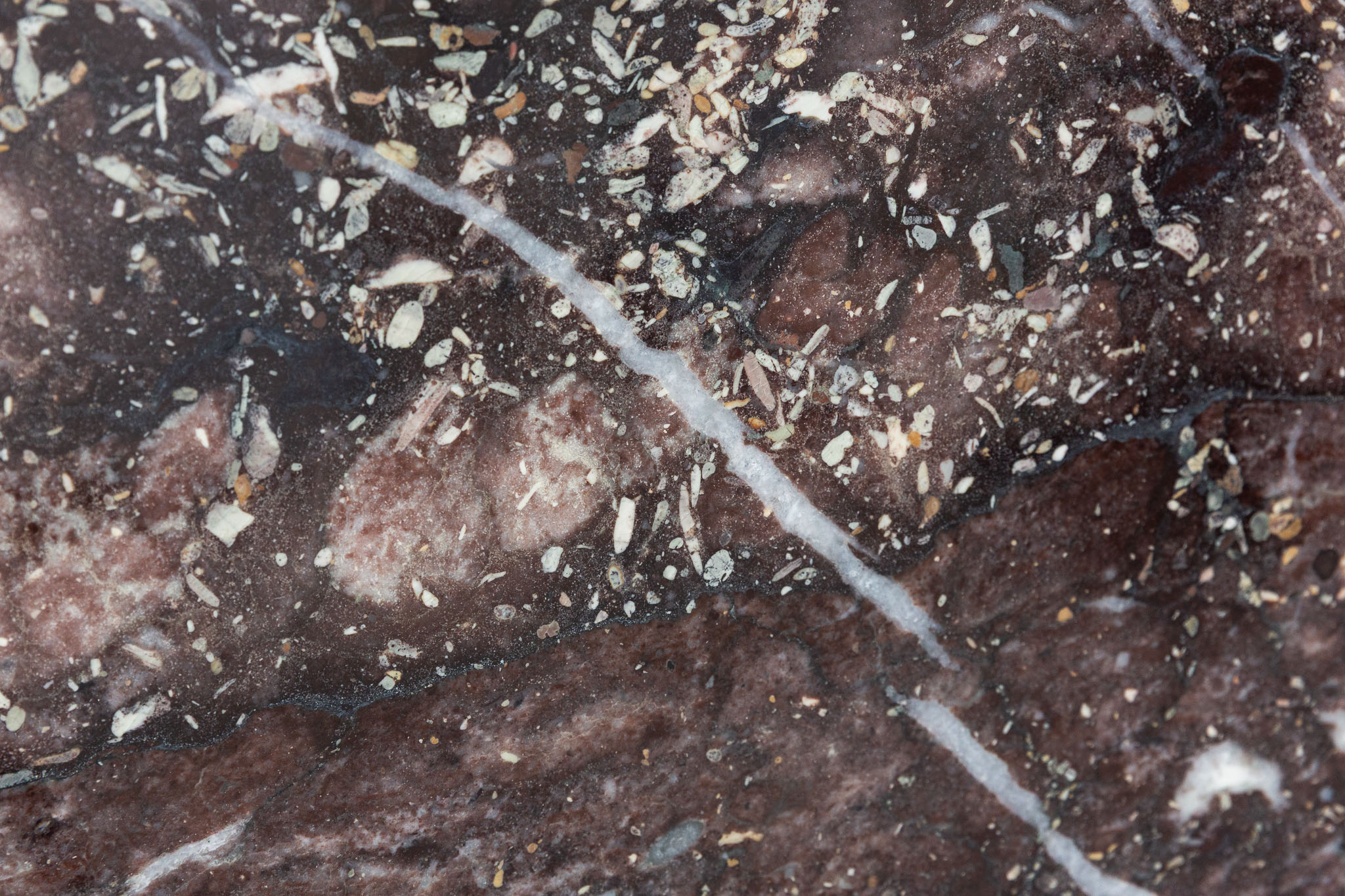 Four Season (TER251119)