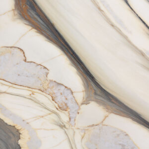 Oyster Apuano (250309)