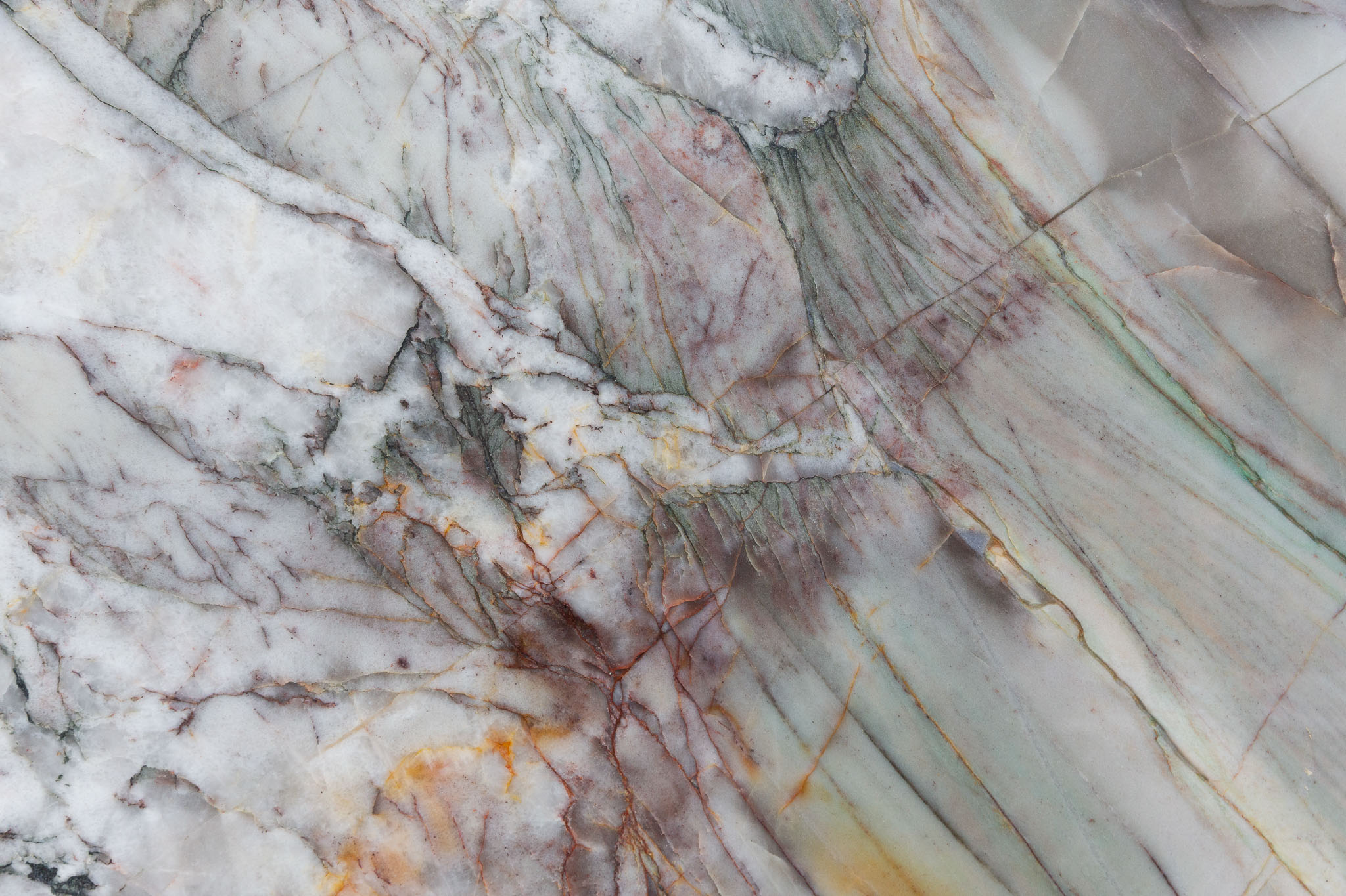 Cristallo Tiger (250220)