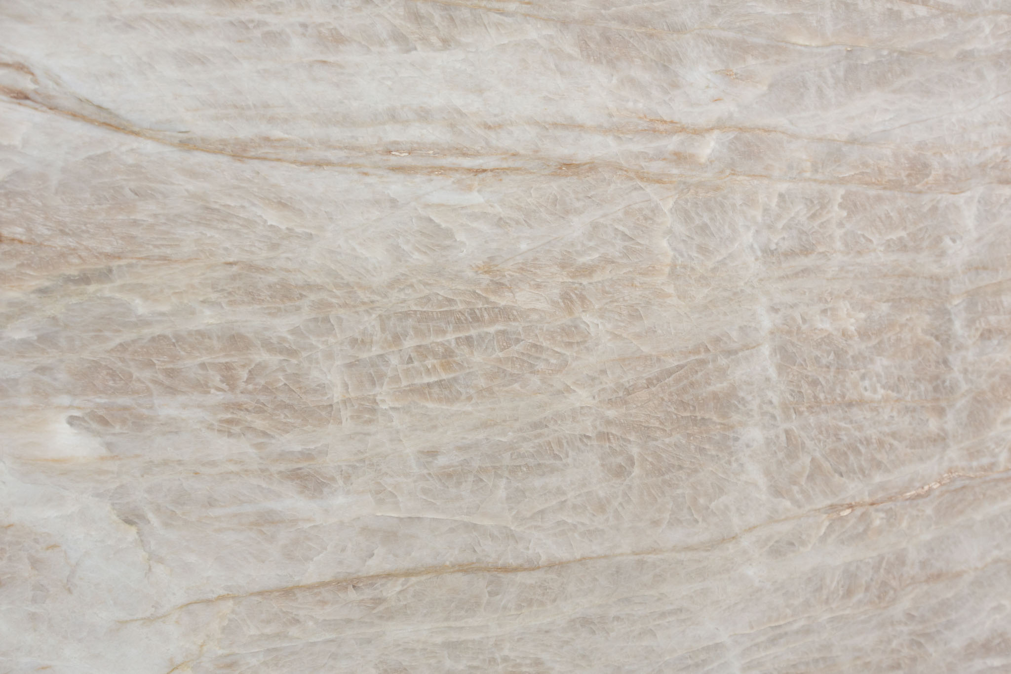 Perla Santana (BE250309)