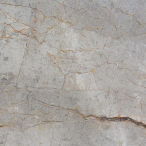 Silver Roots (251040)