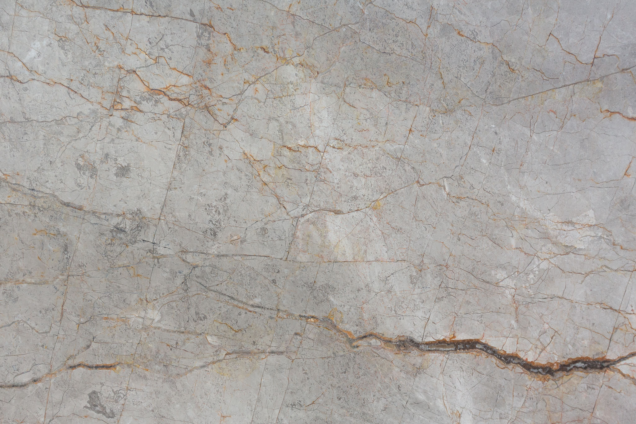 Silver Roots (251040)