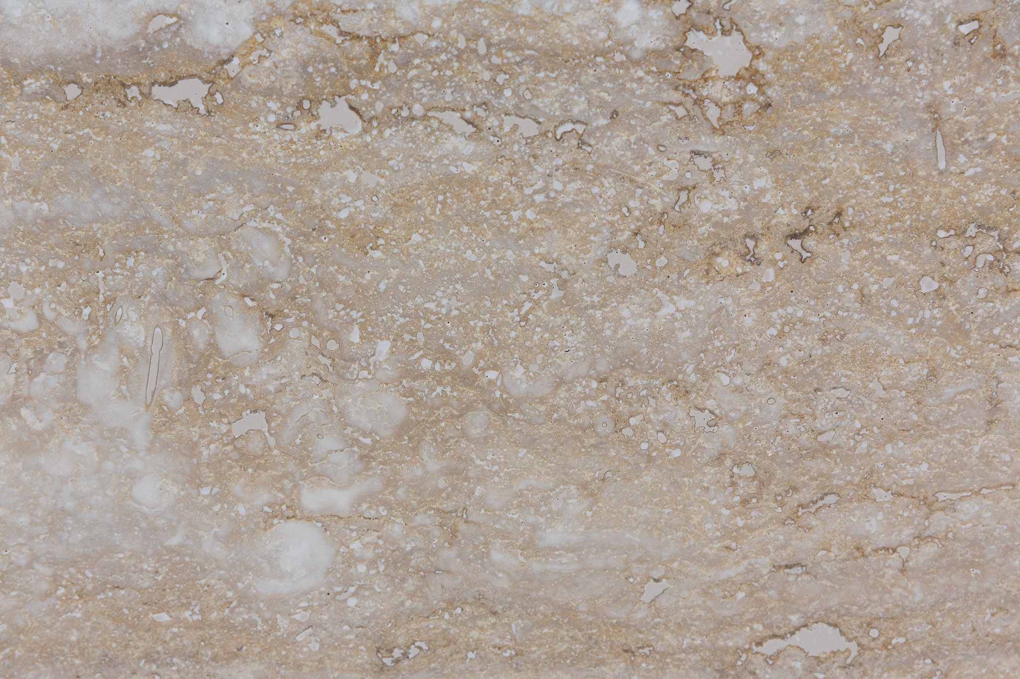 Travertino cypress dei (240620)