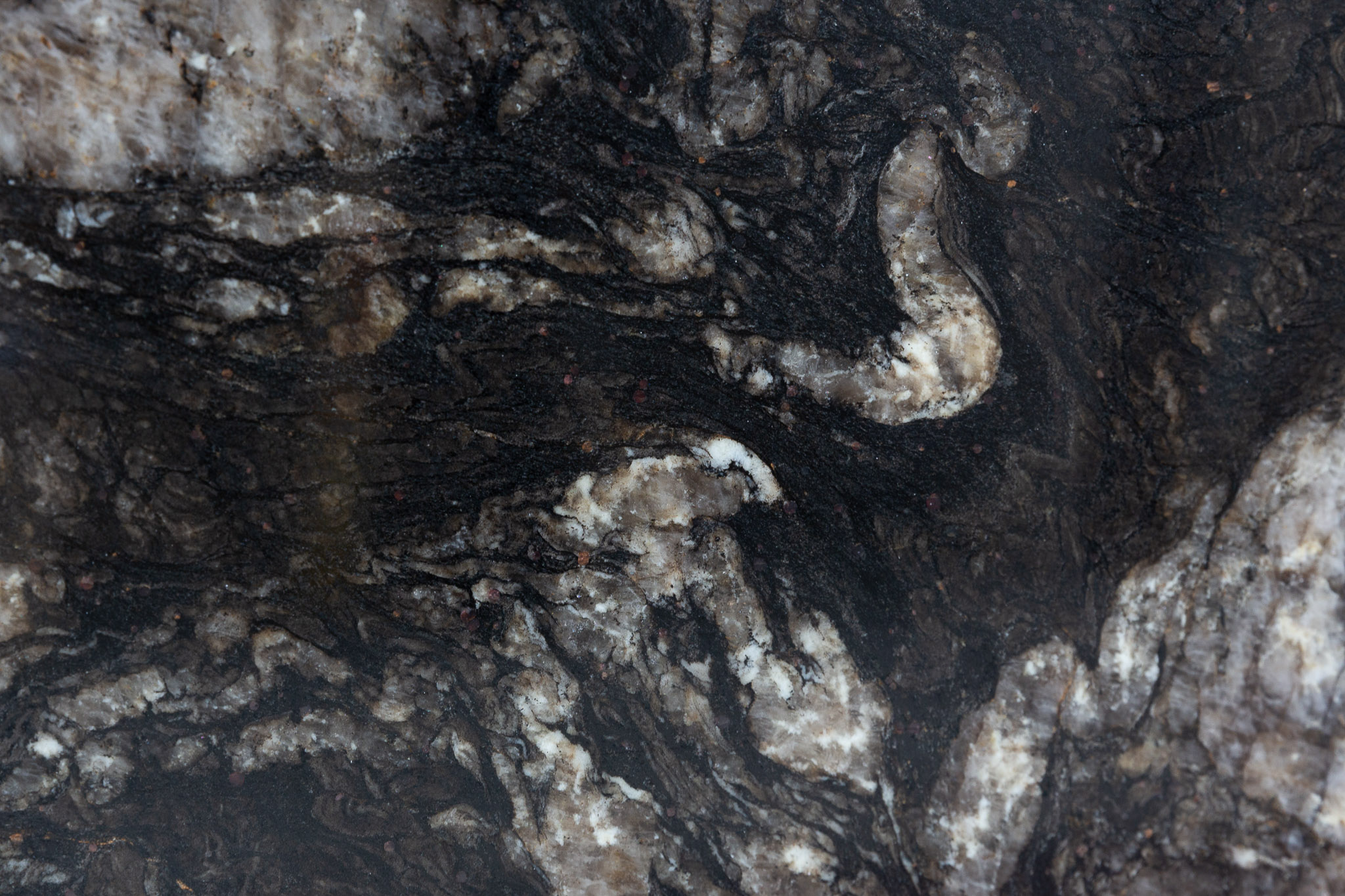 Black Cosmic (240437)