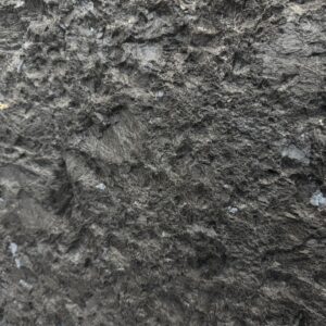 Marron Cohiba (250916)