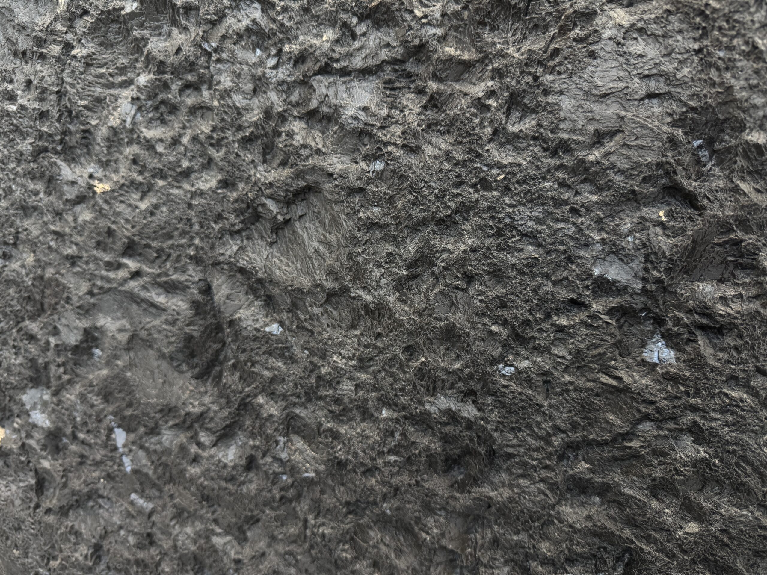 Marron Cohiba (250916)