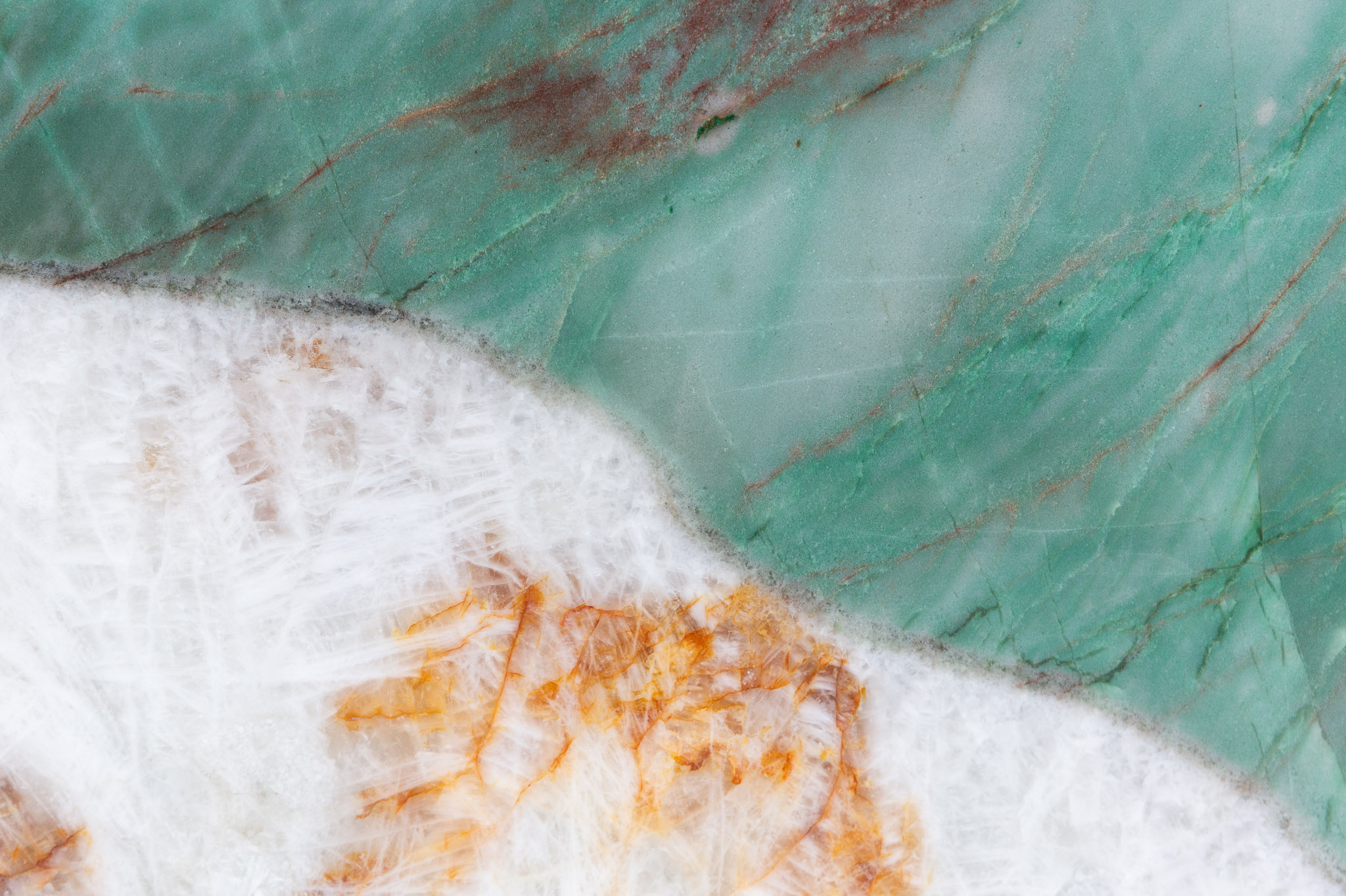 Botanic Wave (BE240602BR)