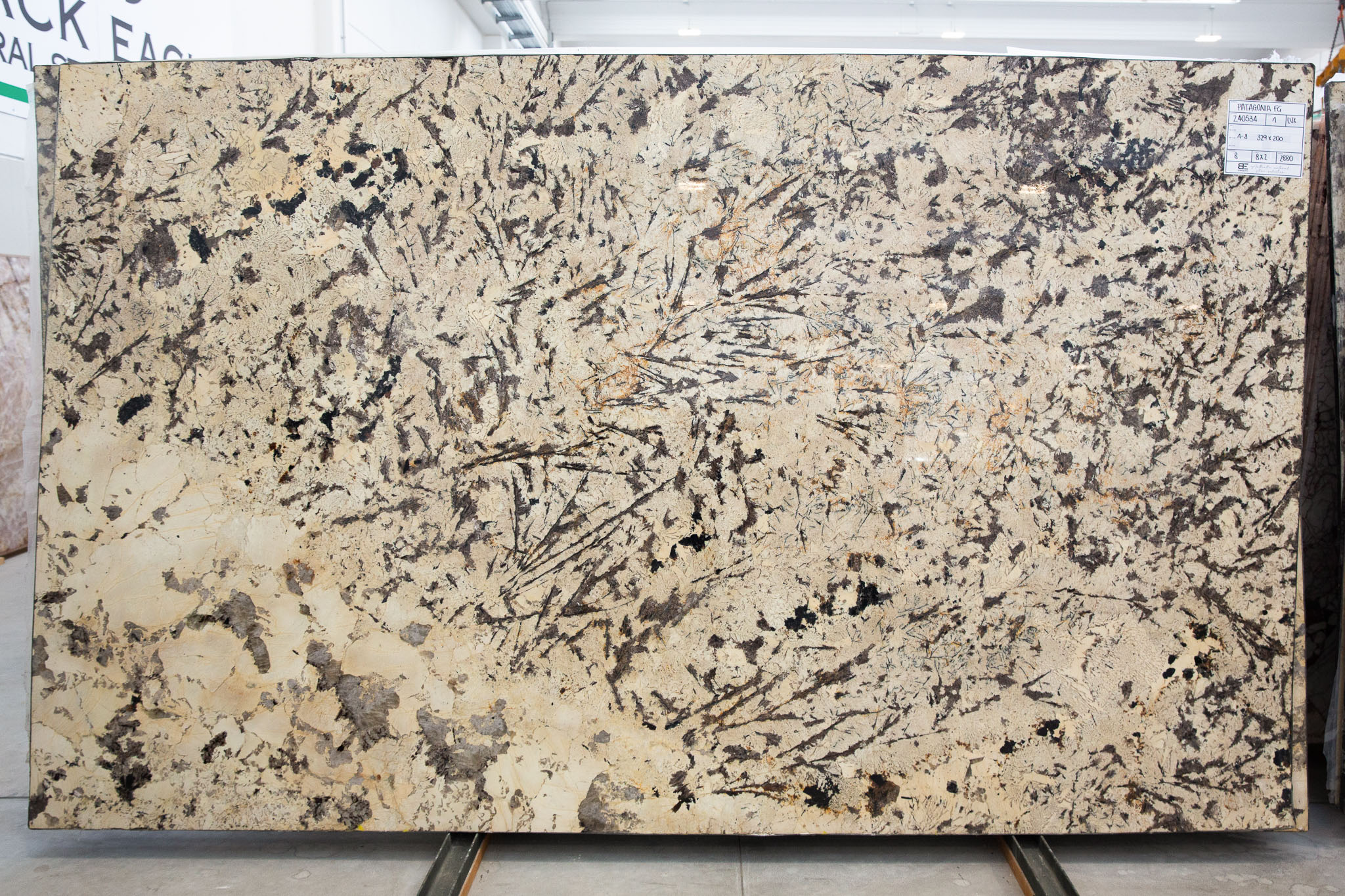 Patagonia fg (BES240534)