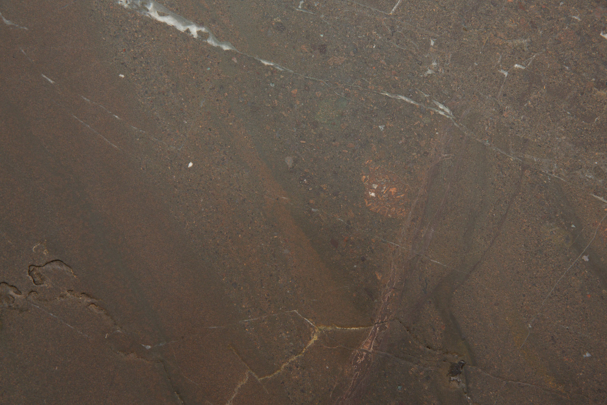 Breccia Imperiale (250724)