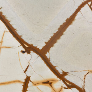 Deep Blue (BES241106)