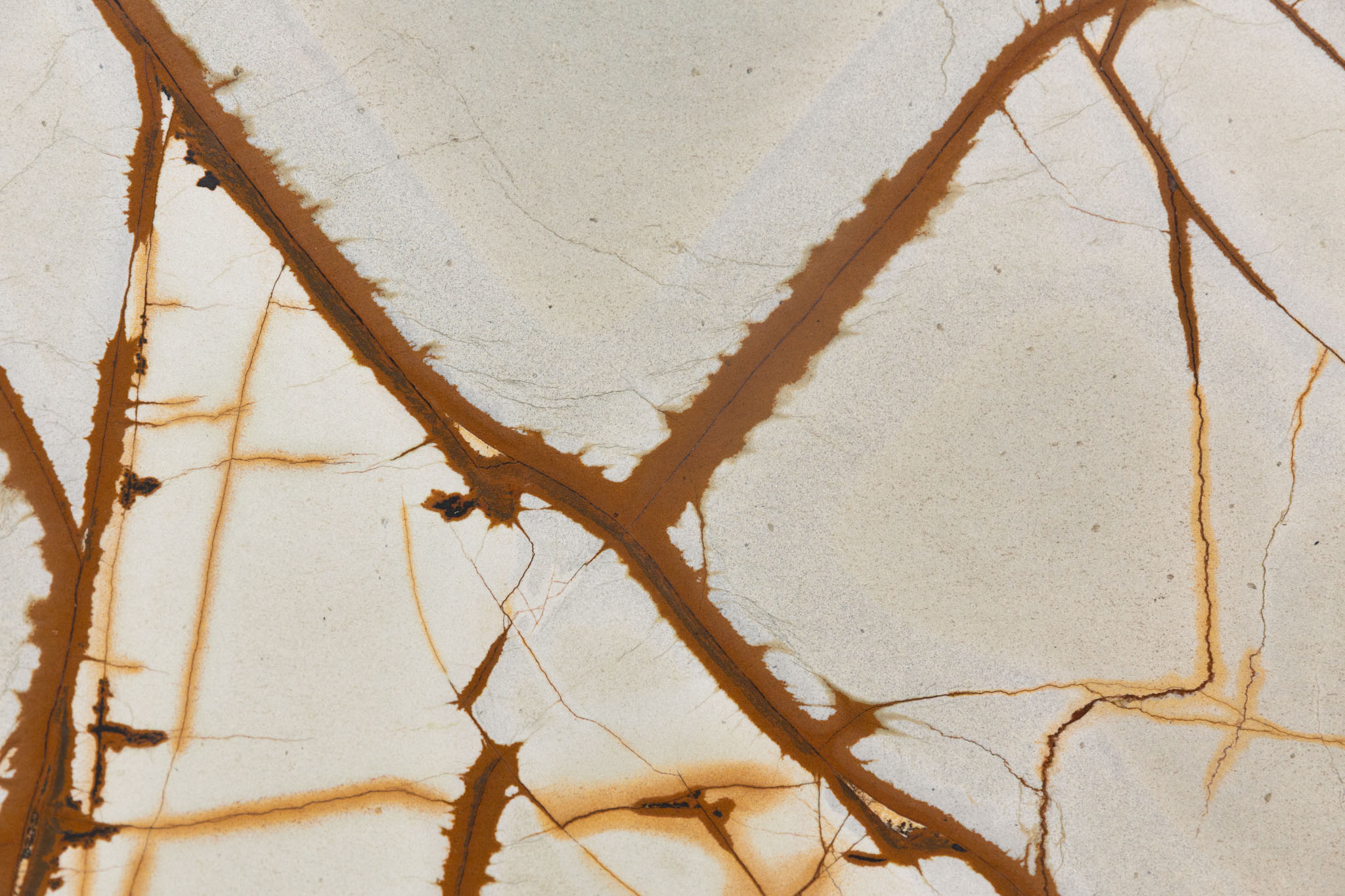 Deep Blue (BES241106)