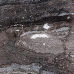 Arabescato Orobico Grigio (251042)