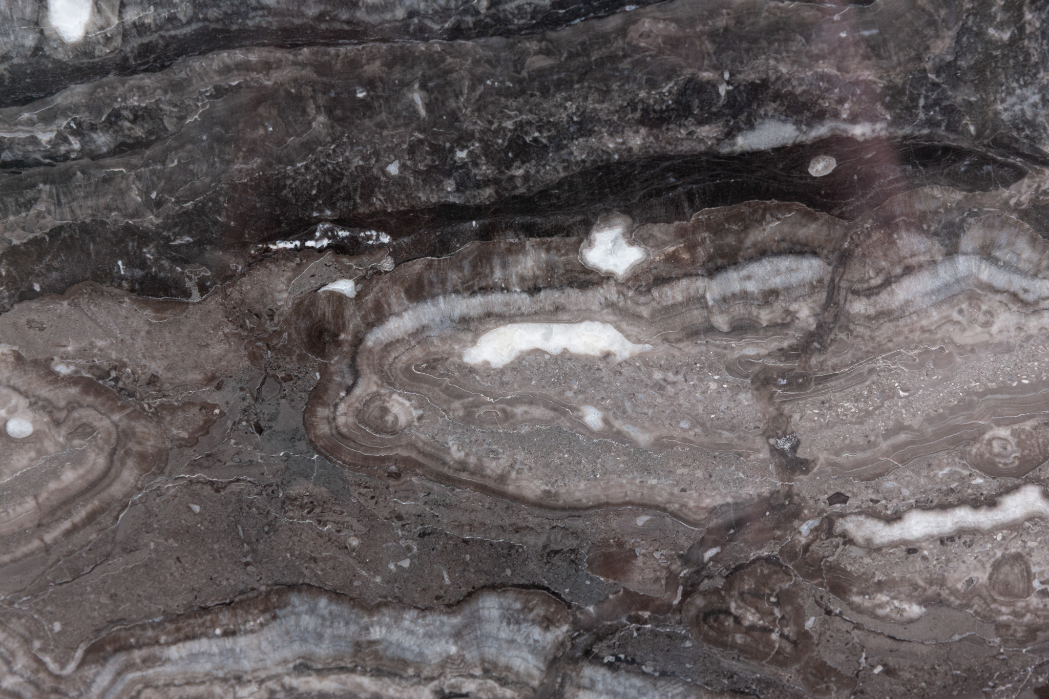 Arabescato Orobico Grigio (251042)