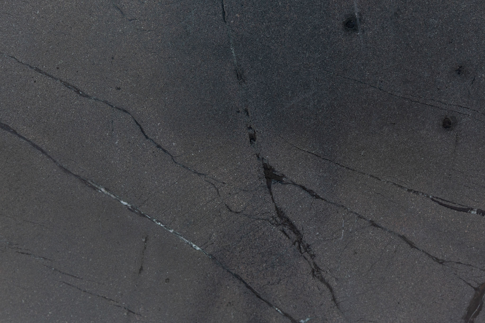 Negresco (BES250807)