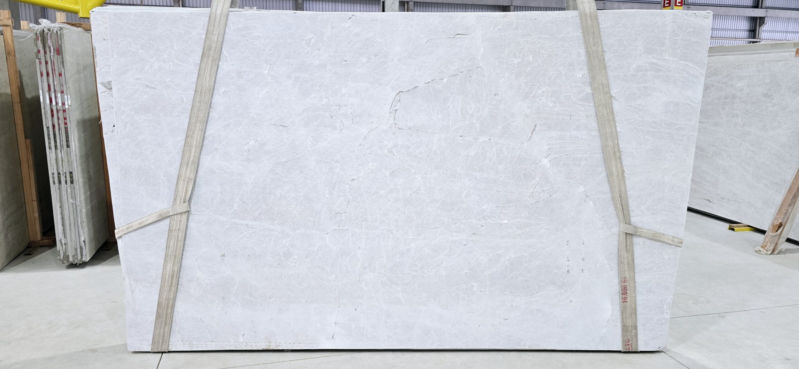 Perla Santana (BE240809)