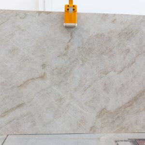 Taj Mahal (231210BR)