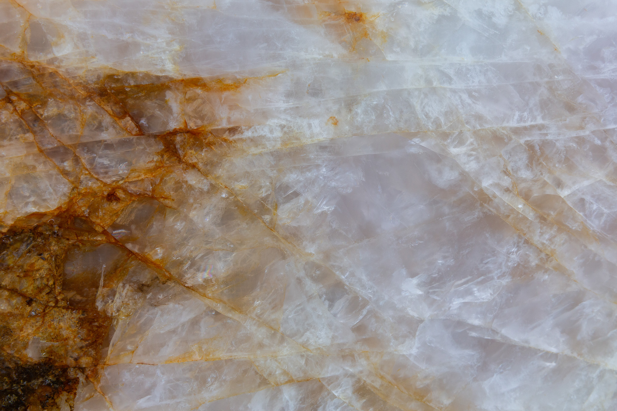 Patagonia pink (220538)