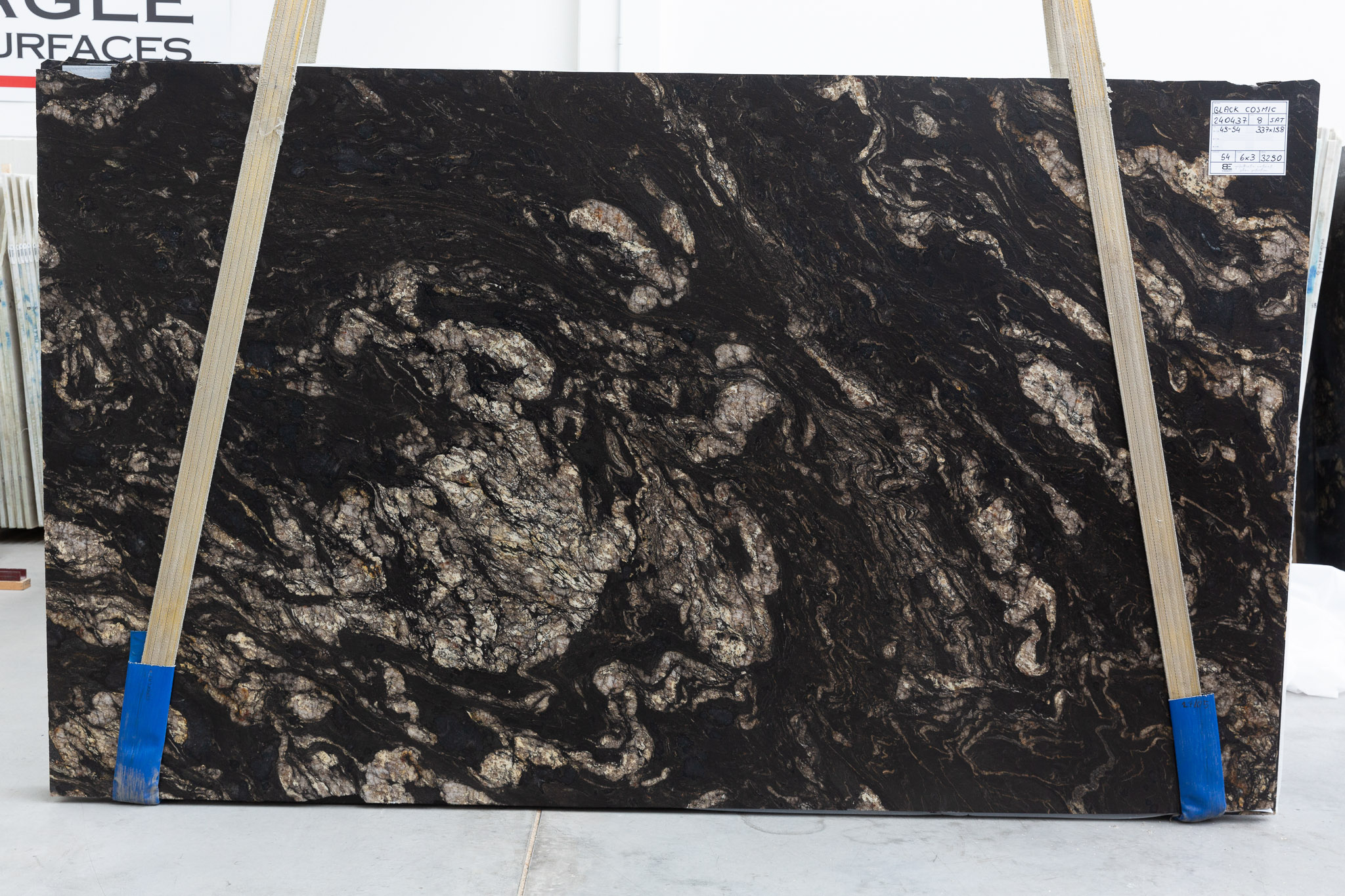 Black Cosmic (240437)