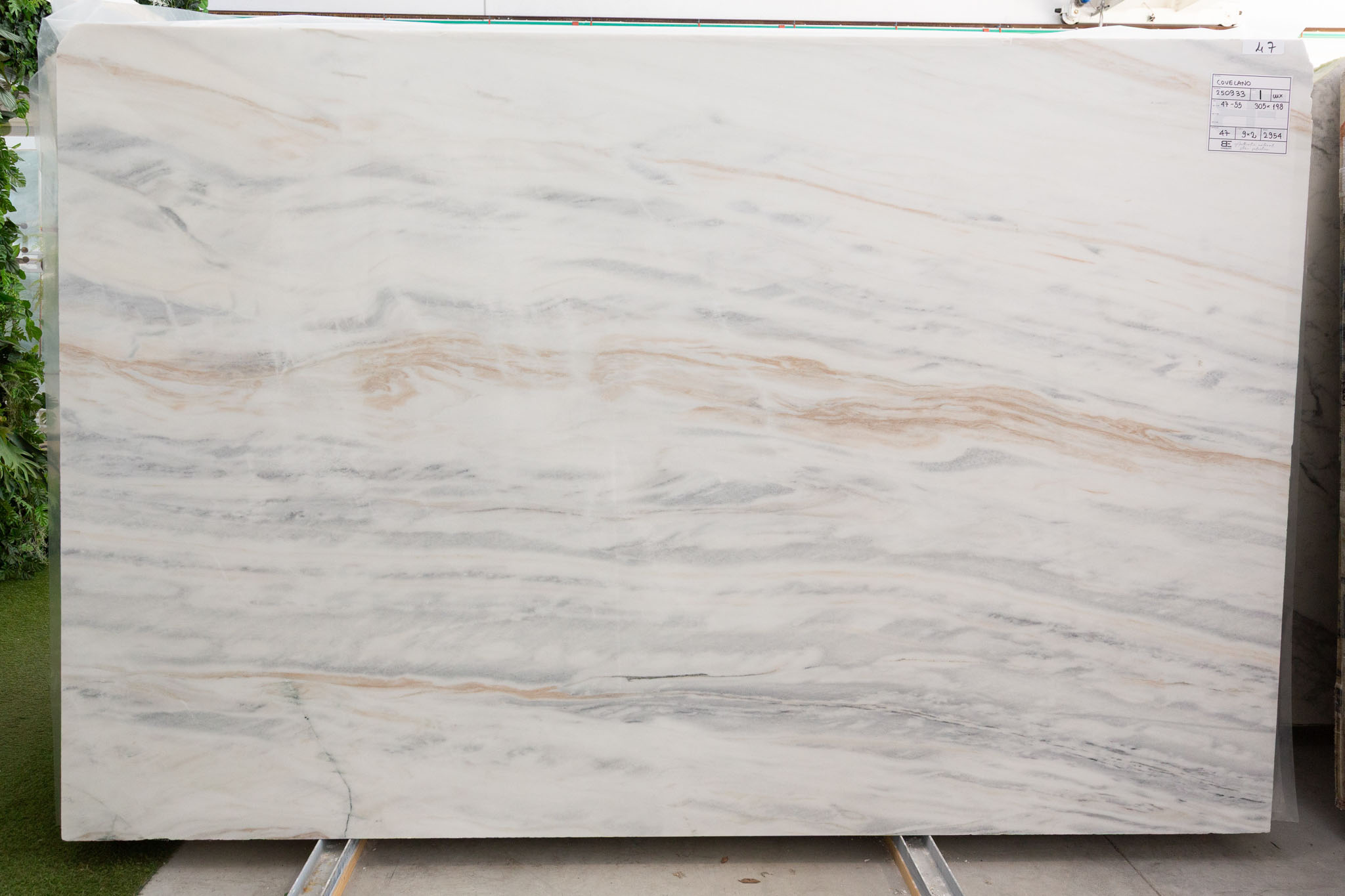 Bianco Lasa Covelano Macchia Vecchia (250933)