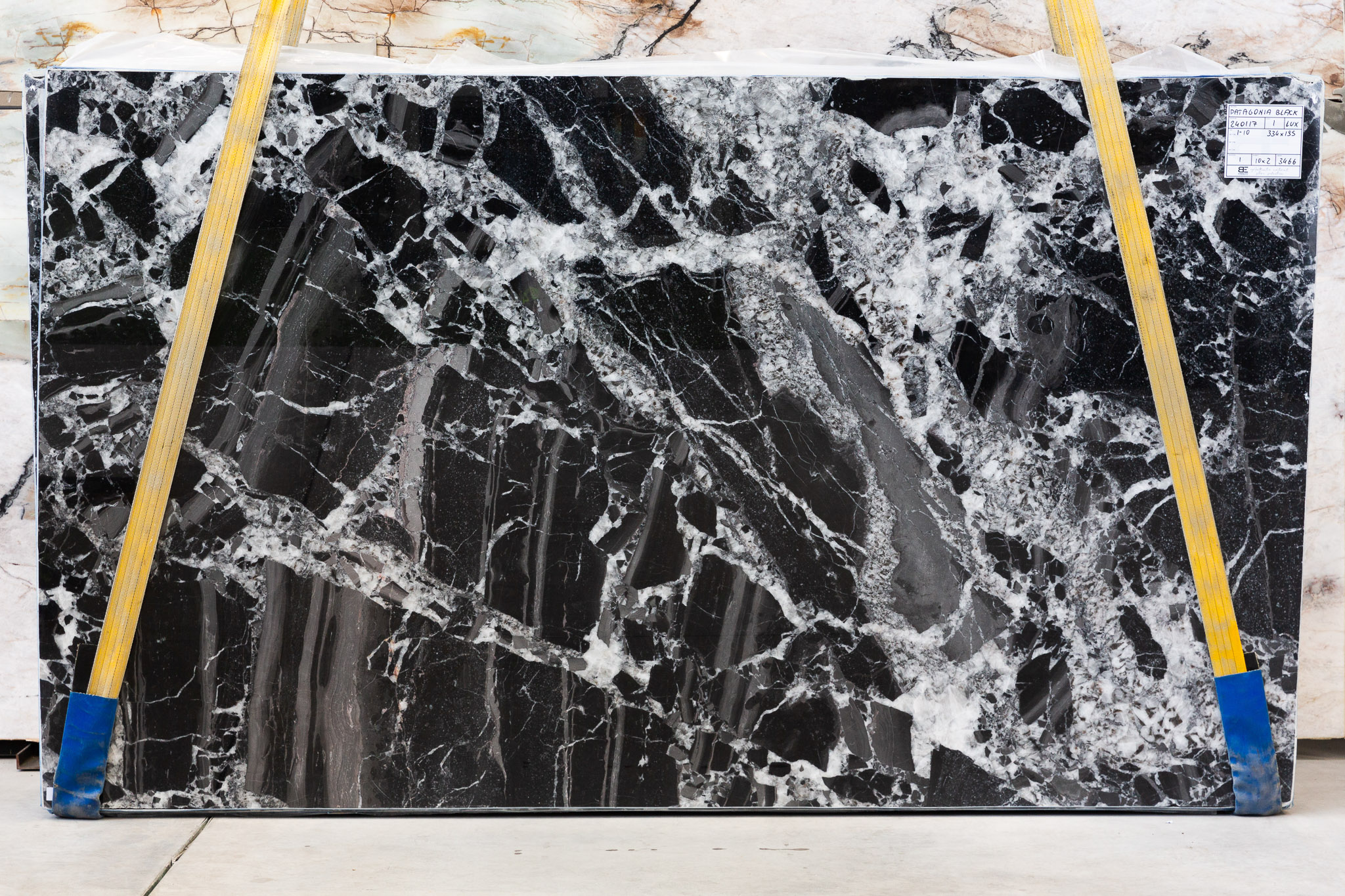 Patagonia Black (240117)