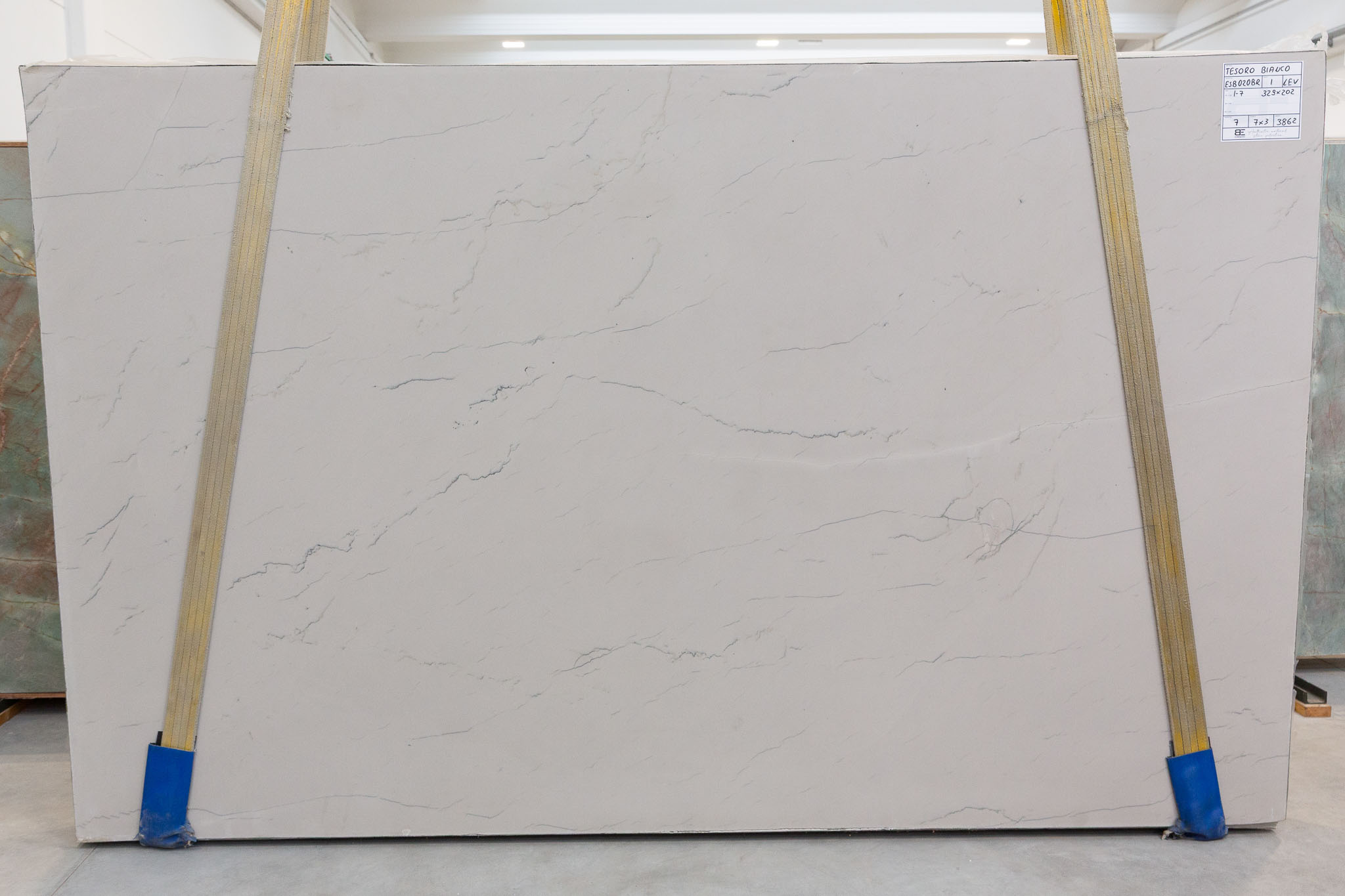 Tesoro bianco (ESB020BR.)