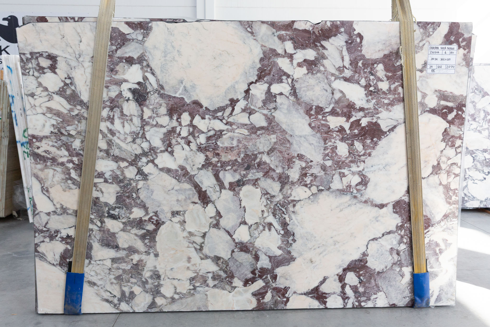 Calacatta Viola Nobile (250314)