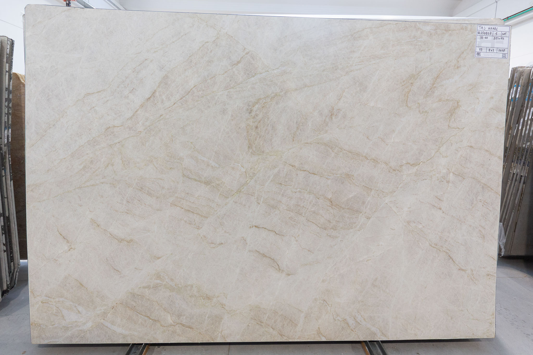 Taj Mahal (BE250803)