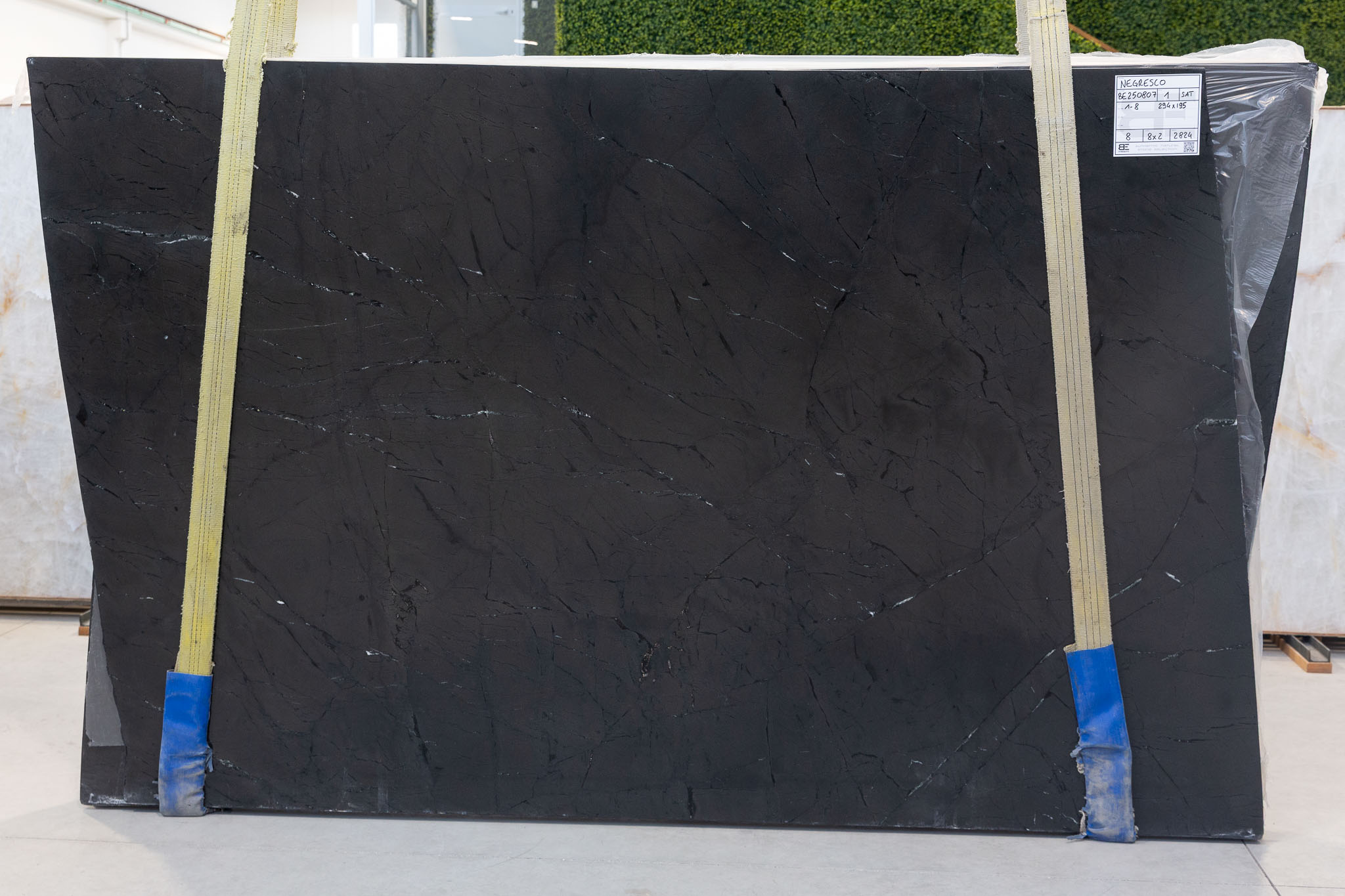 Negresco (BES250807)