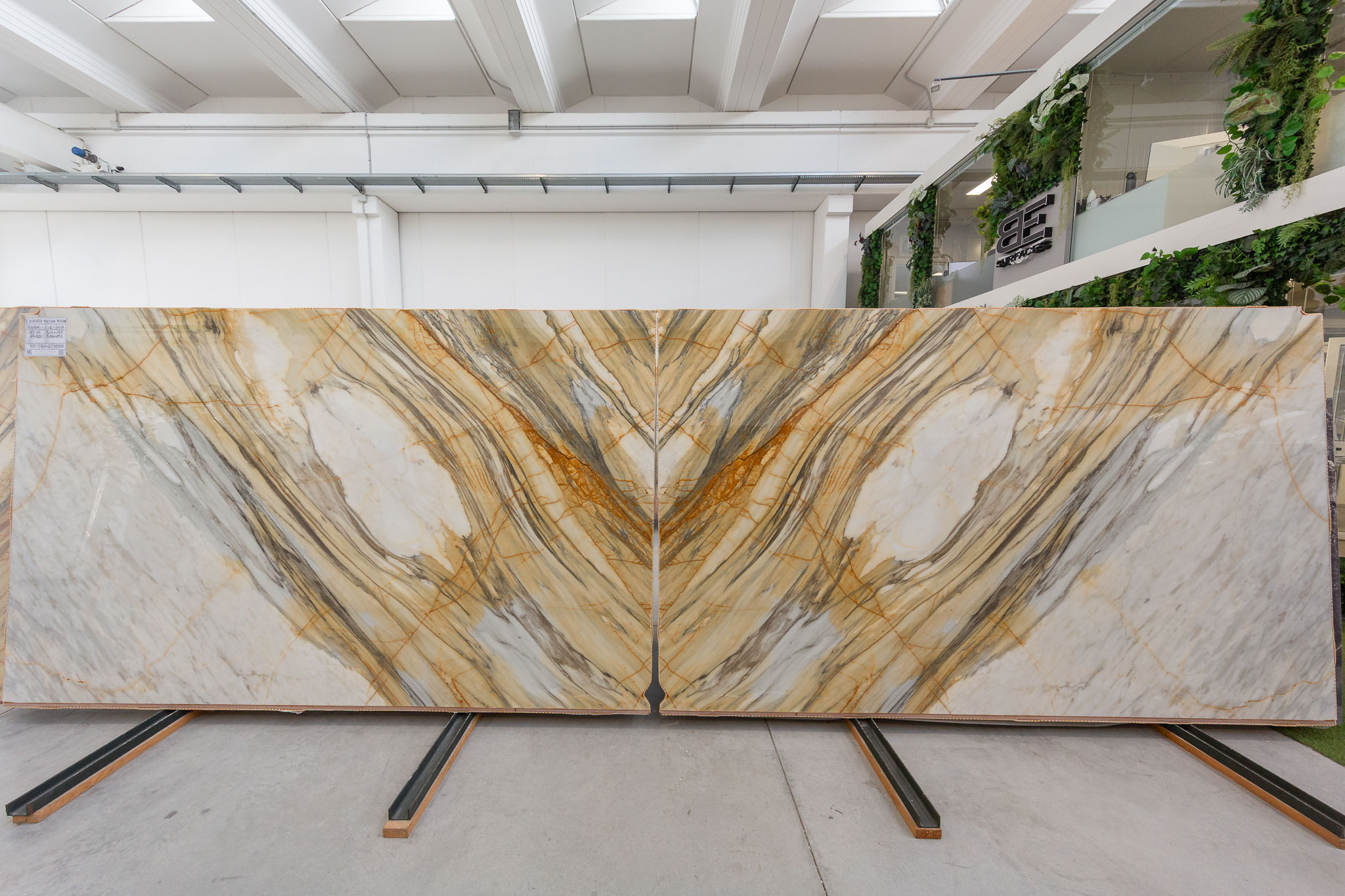 Calacatta Macchia Vecchia (260154)