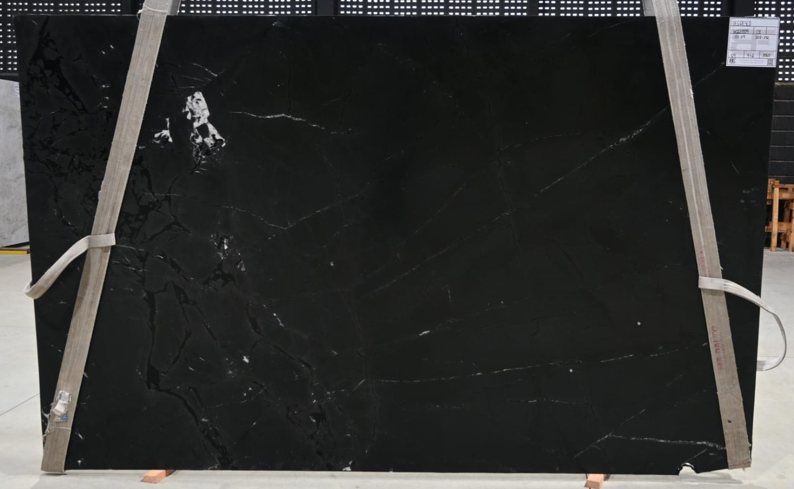 Negresco - A (BR251109)