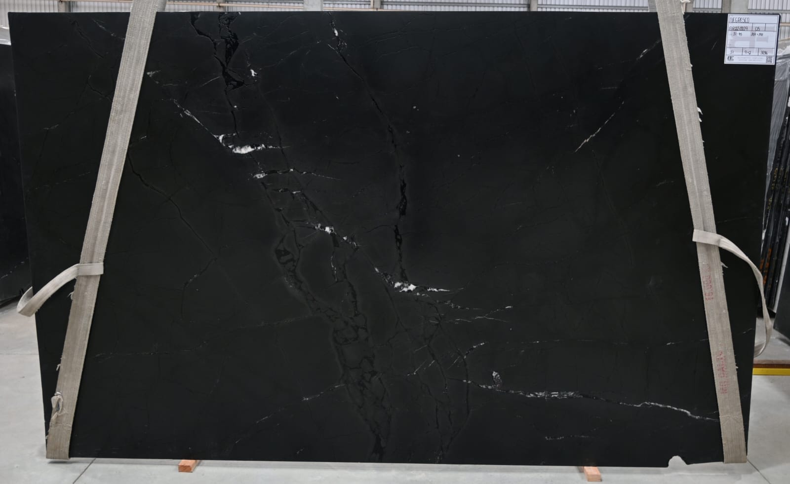 Negresco - B (BR251109)