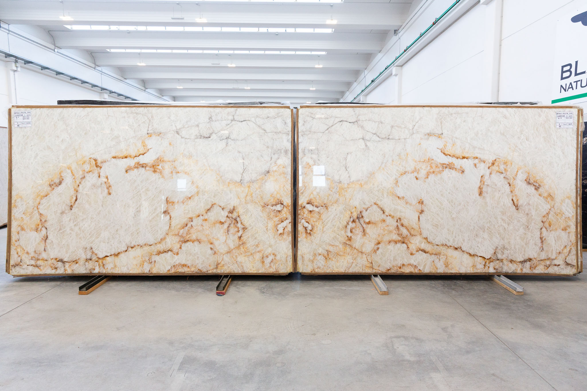 Botanic Wave (240602BR)