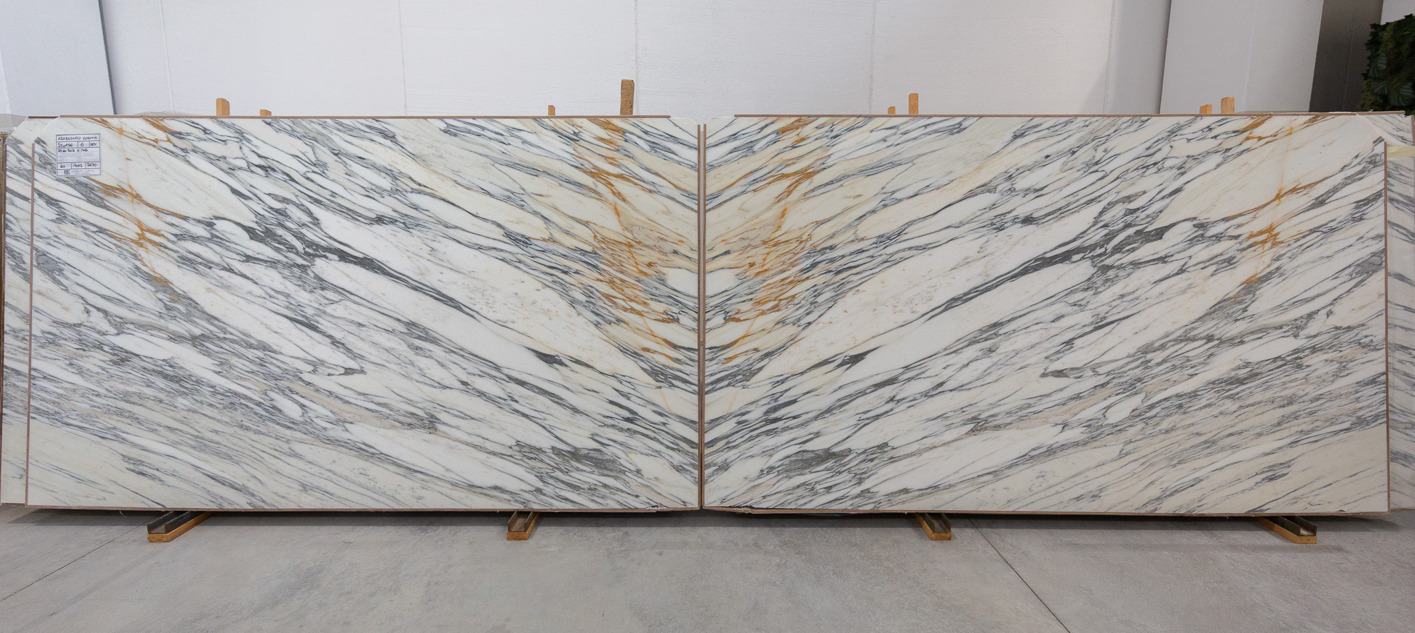 Arabescato Corchia (250156)