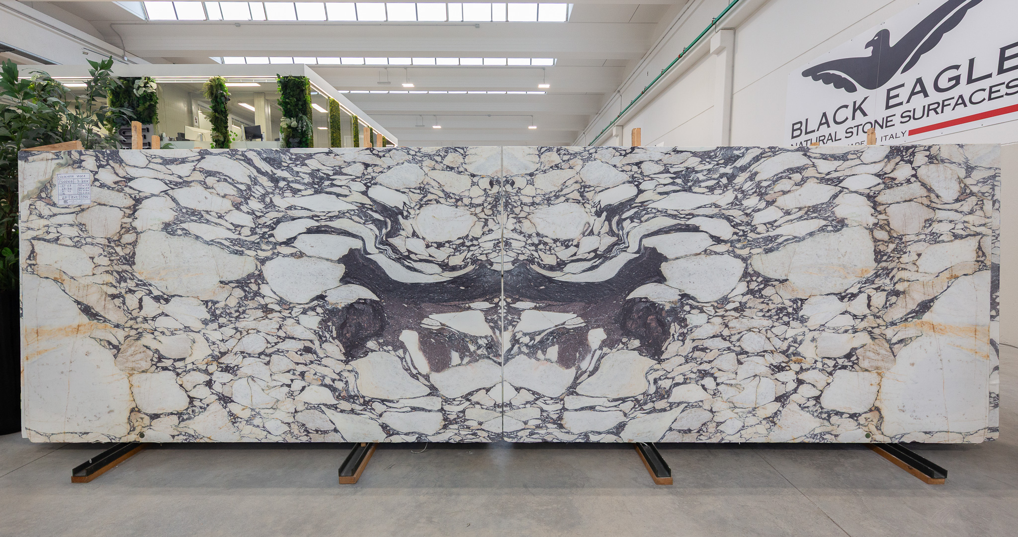 Calacatta Viola (250209)