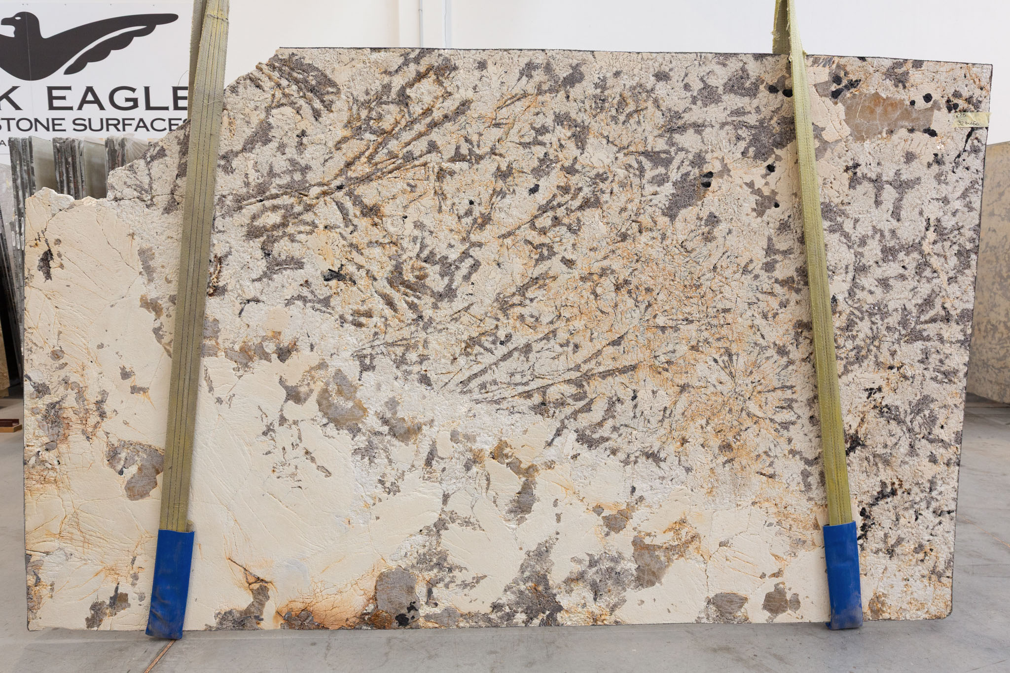 Patagonia fg (BES240534)