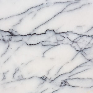 Lilac new york (240612)