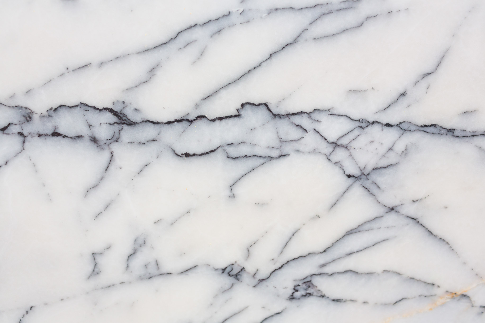 Lilac new york (240612)