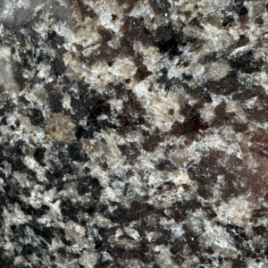 Nero Africa Impala (251026)