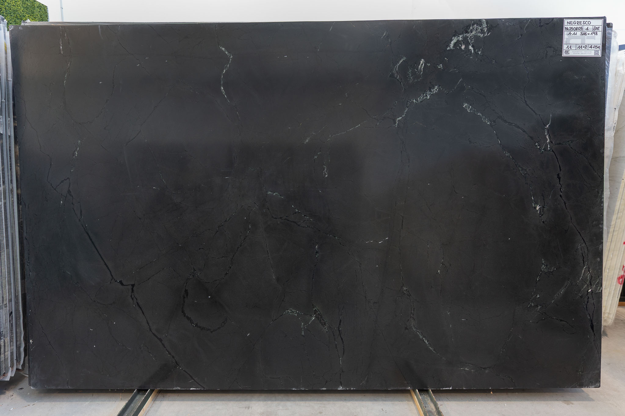 Negresco (BES250805)