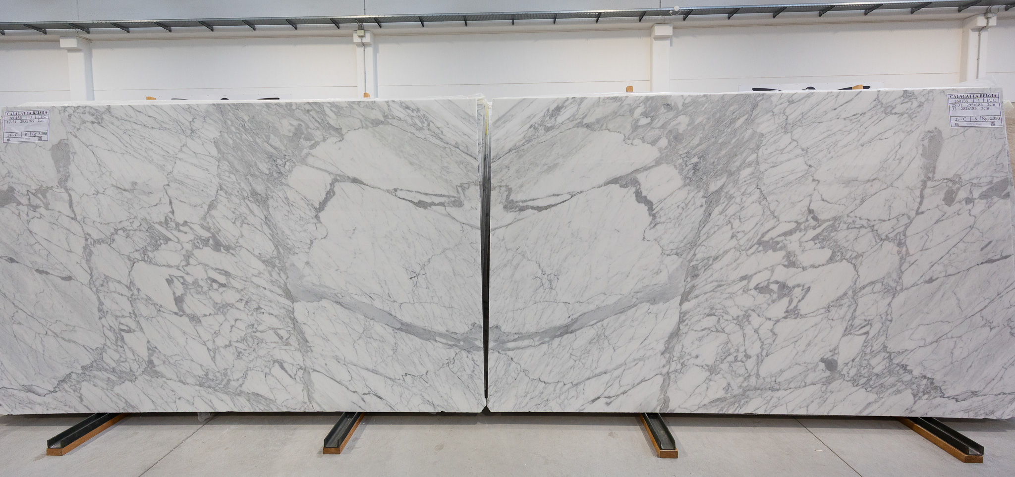 Calacatta Belgia (260156)