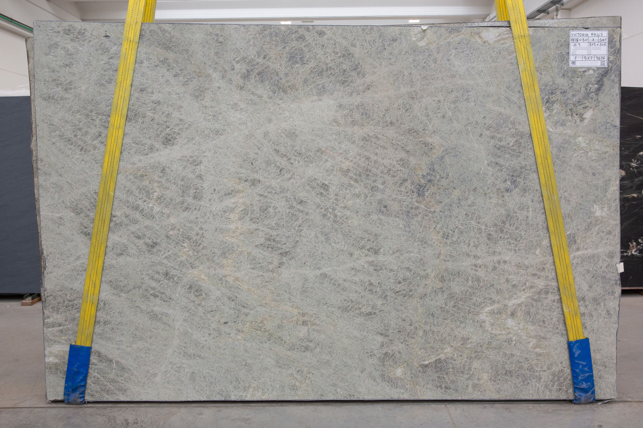 Perla Rocha (BE250311)