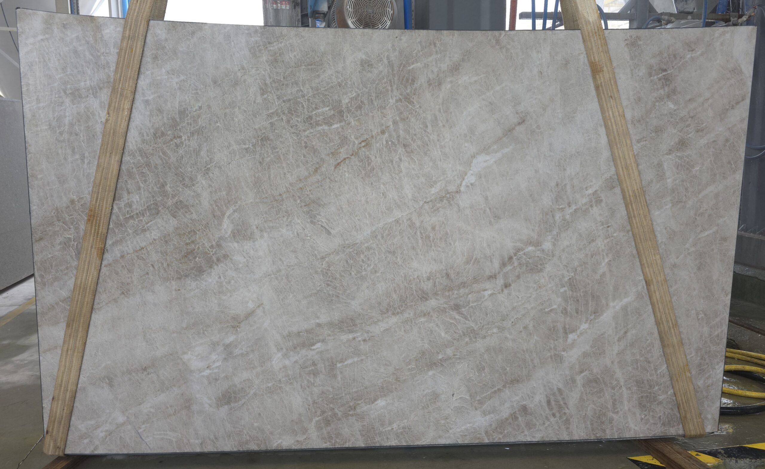 Perla Santana (BR260209)