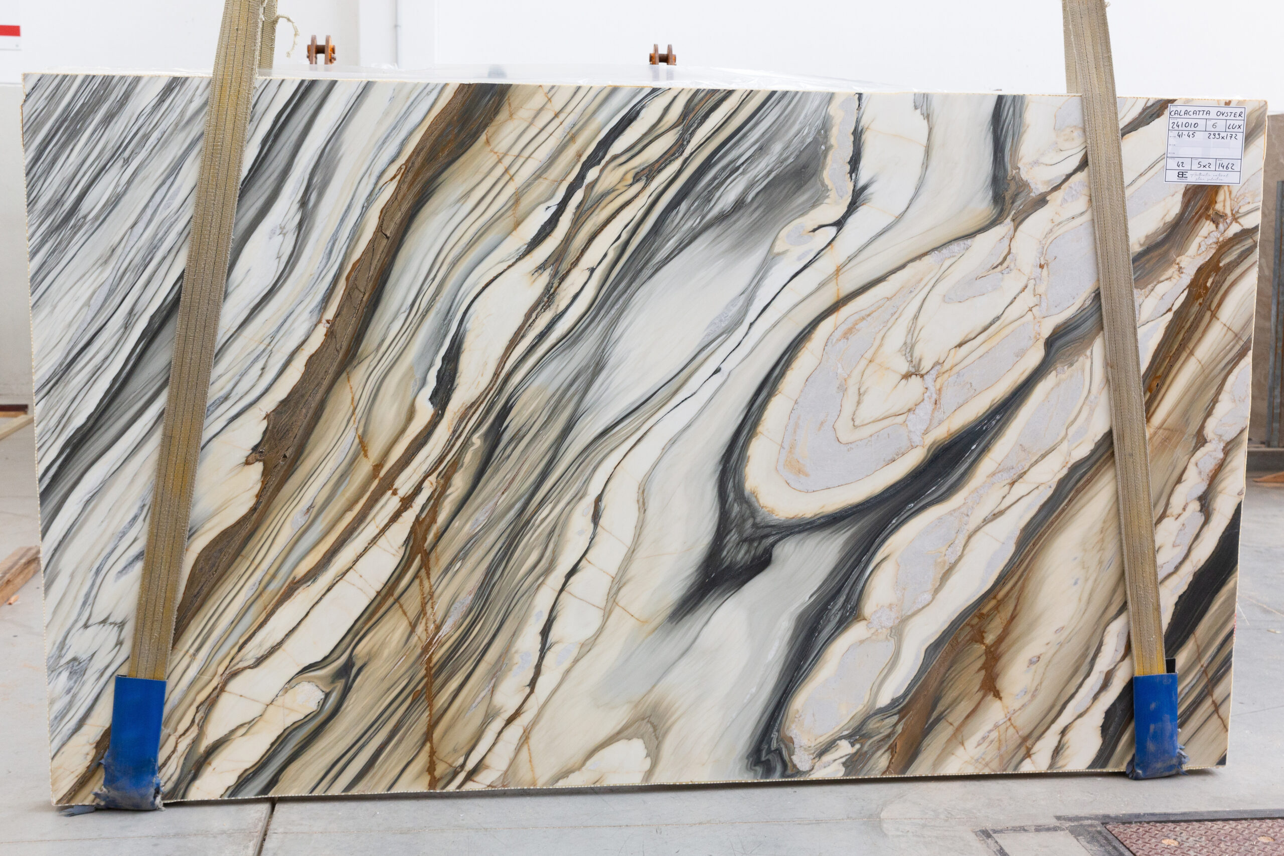 Calacatta Oyster (241010)