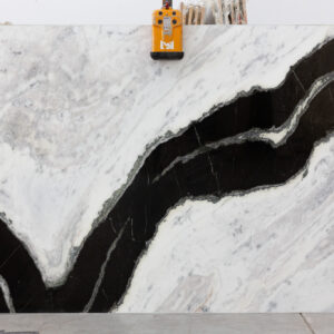 Panda white (240504)