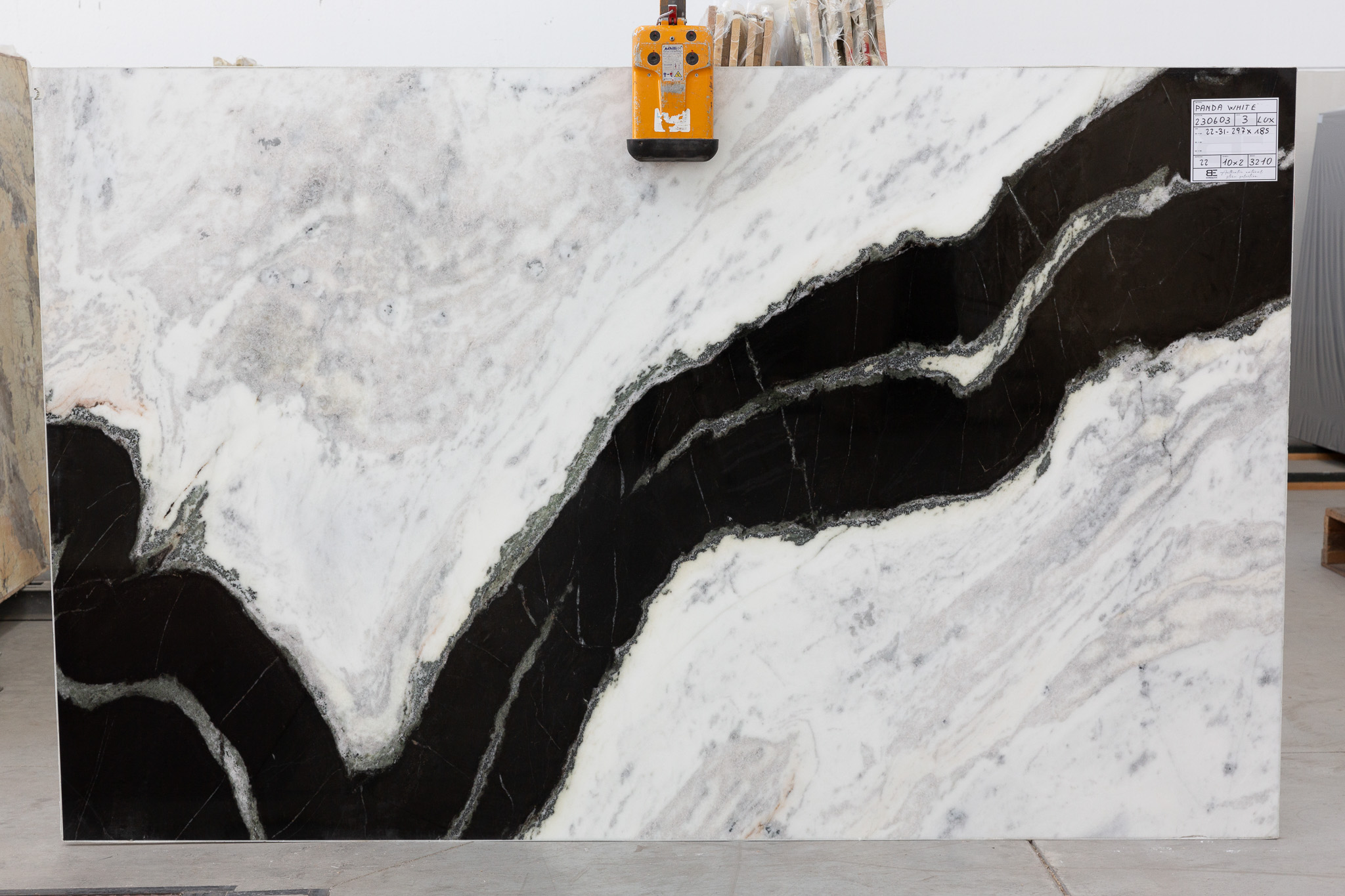 Panda white (240504)