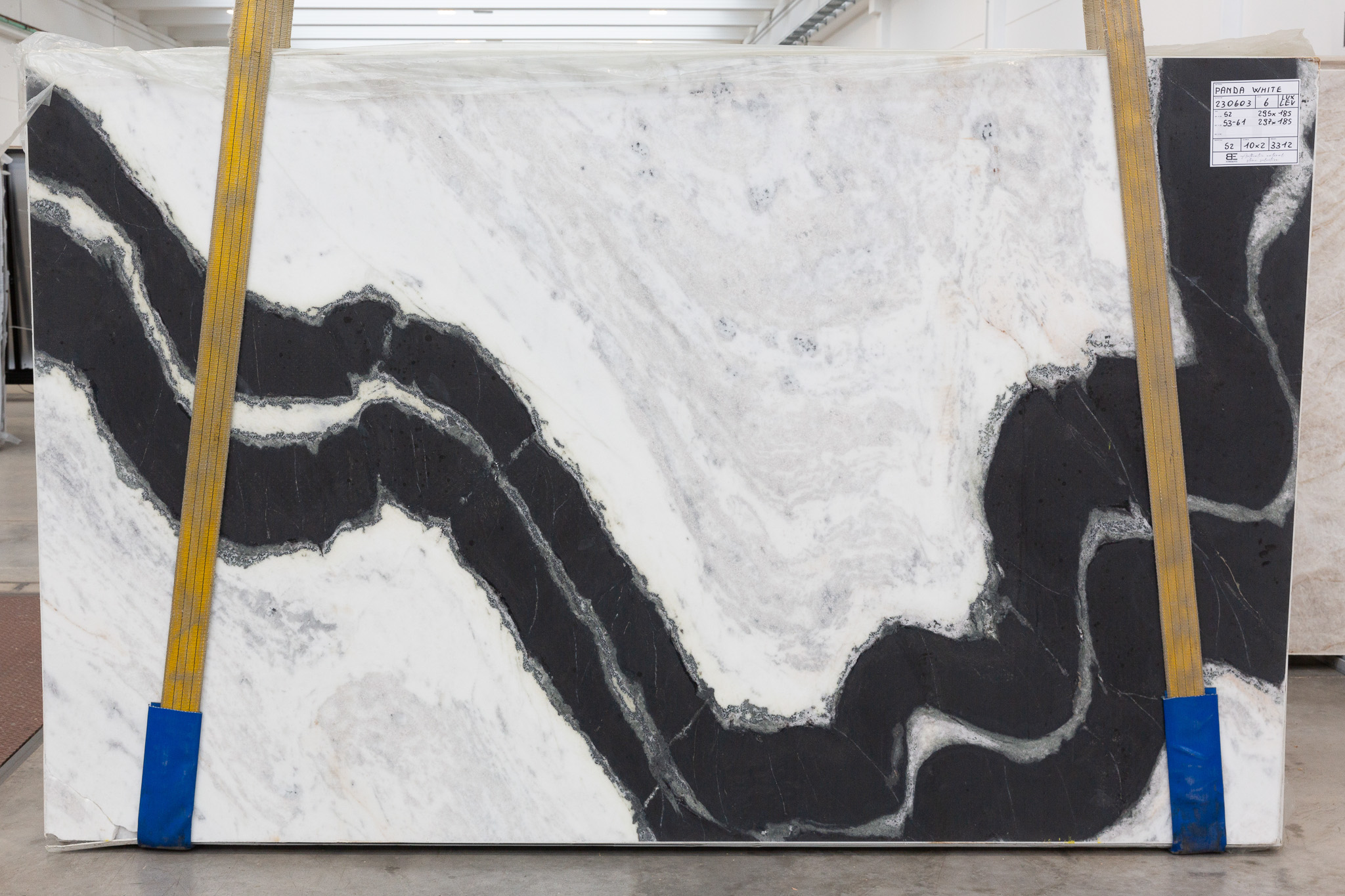 Panda white (230603)