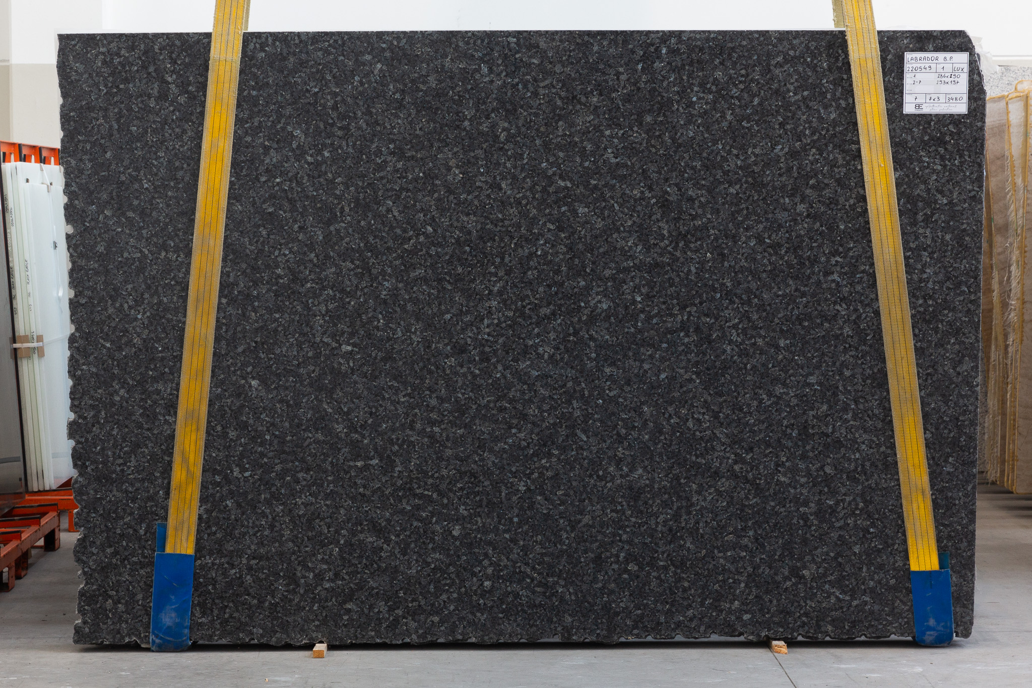 Labrador Blue Pearl GT (220549)